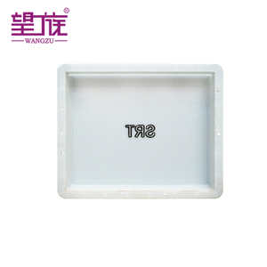 Environmentally Friendly Professional Injection Mold for Paving Concrete