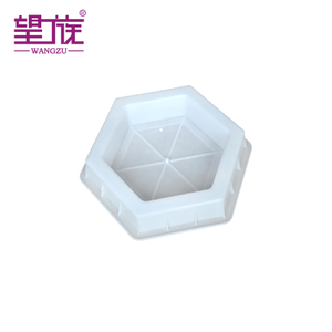 Advanced Hexagonal Plastic Injection Mold for Engineering Projects