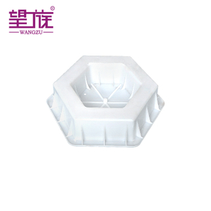 Best-Selling Hollow Hexagonal Plastic Molds