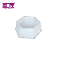 Plastic Paver Interlocking Mold for The Municipal Engineering