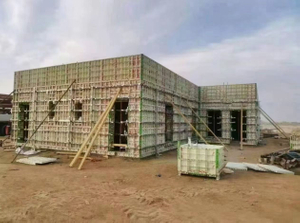 WANGZU High-Strength Modular Plastic Formwork System for Residential Building Construction