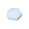 Hot-Selling Hexagonal Plastic Paving Brick Mold