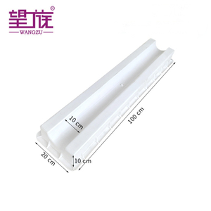 Plastic Mold for Professional Engineering Cable Trough with Horseshoe-Shaped Design