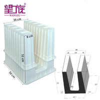 ISO-Certified Plastic Material Split-Type Double-Slot Cable Trough Mold
